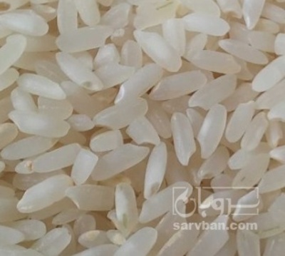 فروش برنج