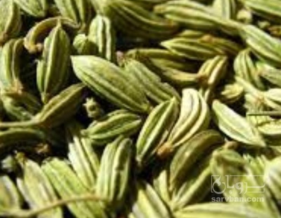 فروش زیره (گیاه‌ دارویی)