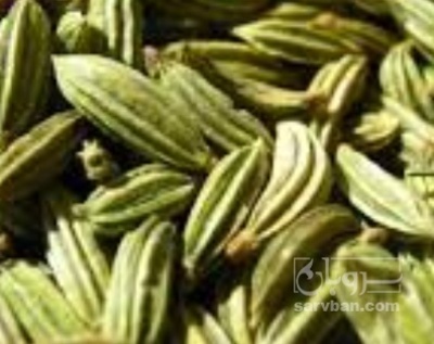 فروش زیره (گیاه‌ دارویی)