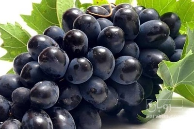 فروش انگور ترکمن