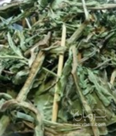 فروش کاسنی خشک (گیاه‌ دارویی)