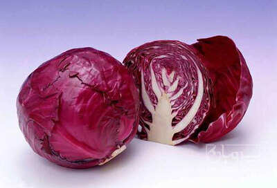 فروش کلم بنفش