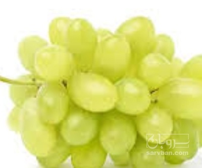 فروش انگور