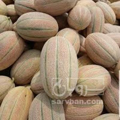 فروش ملون جانا