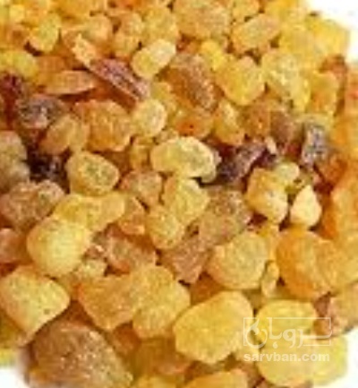 فروش آنغوزه (گیاه‌ دارویی)