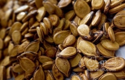 فروش تخمه هندوانه خام