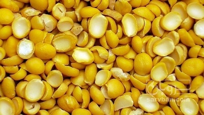 فروش نخود کفتری - لپه