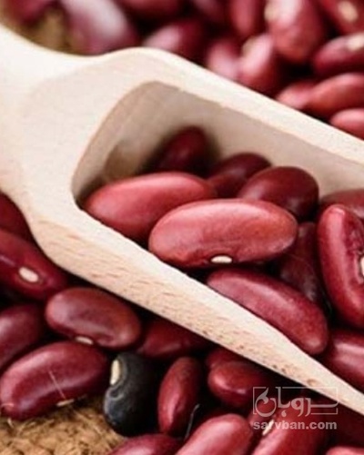 فروش لوبیا قرمز
