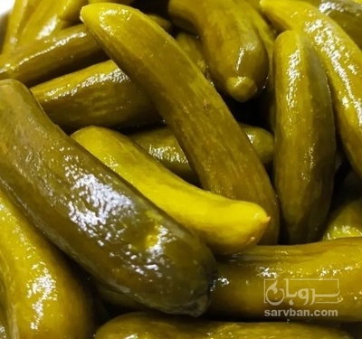 فروش خیار شور نول