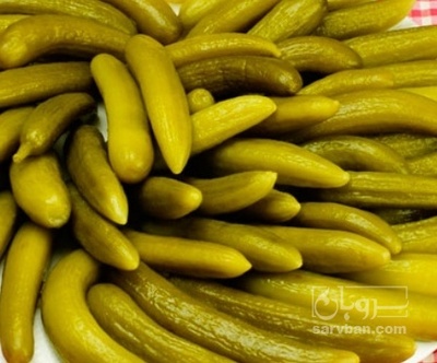 فروش خیار شور ویژه