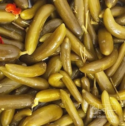 فروش خیار شور ممتاز