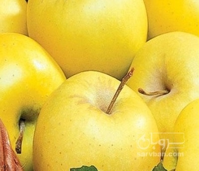 فروش سیب قرمز