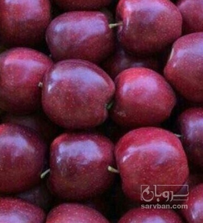 فروش سیب قرمز