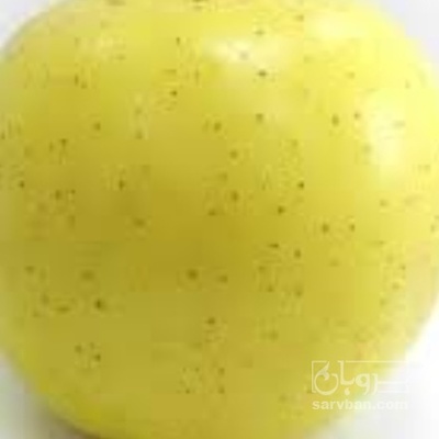 فروش سیب زرد