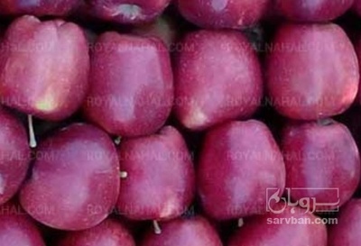 فروش سیب قرمز
