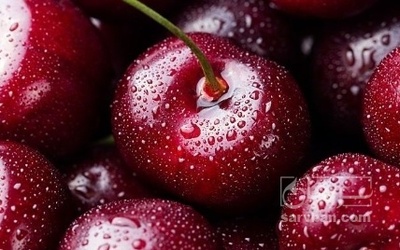 فروش گیلاس