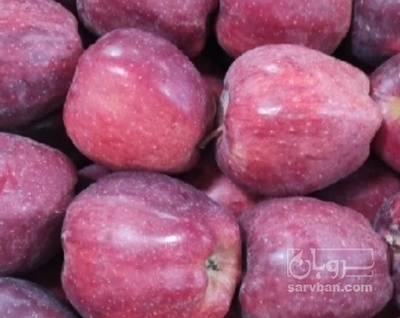 فروش سیب قرمز