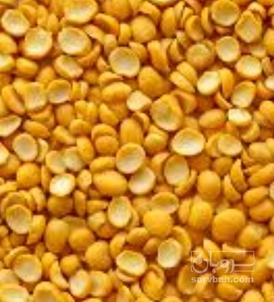 فروش نخود کفتری - لپه