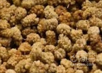 فروش توت خشک