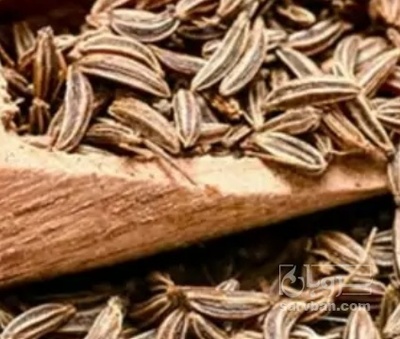 فروش زیره سورت