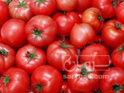 فروش گوجه فرنگی