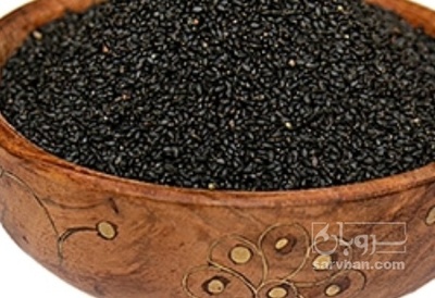 فروش تخم شربتی