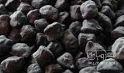 فروش نخود سیاه