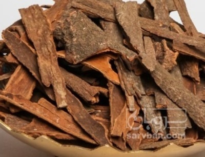 فروش چوب دارچین