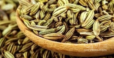 فروش زیره خرمنکوب