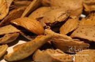 فروش پوست بادام - سنگی - سخت (گیاه‌ دارویی)