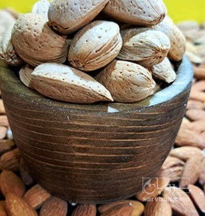 فروش بادام درختی