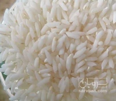 فروش برنج کامفیروزی
