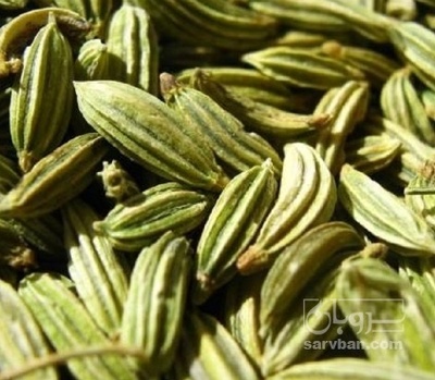 فروش زیره (گیاه‌ دارویی)