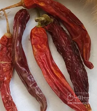 فروش فلفل قرمز شاخ بزی