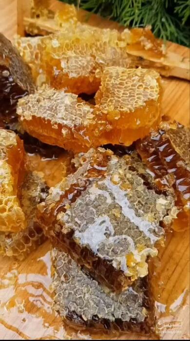 فروش انواع عسل