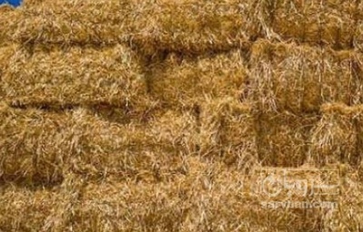 فروش کاه و کلش گندم