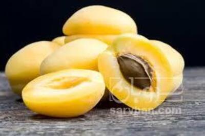 فروش زردآلو