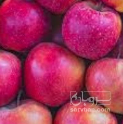 فروش سیب قرمز