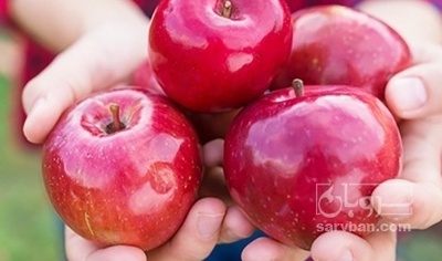 فروش سیب قرمز