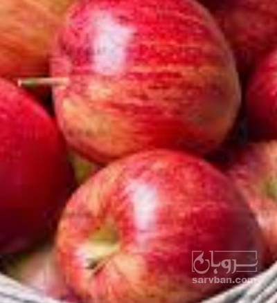 فروش سیب قرمز