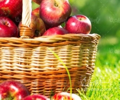 فروش سیب قرمز