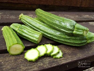 فروش کدو خورشتی