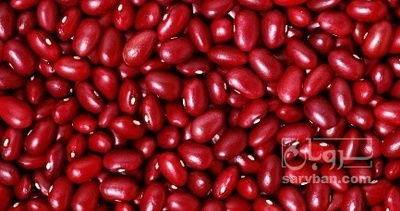فروش لوبیا قرمز