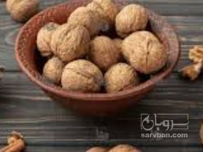 فروش گردو