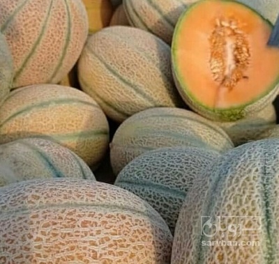 فروش طالبی جانا