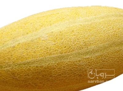 فروش خربزه