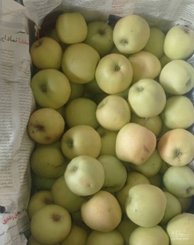 فروش سیب