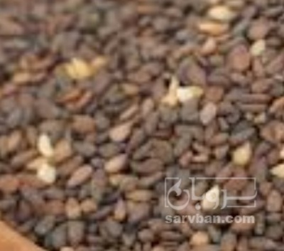 فروش کنجد