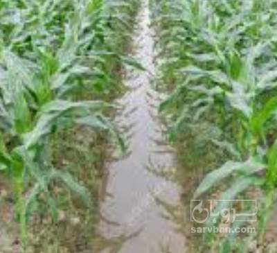 فروش چاپر ذرت - سیلاژ ذرت