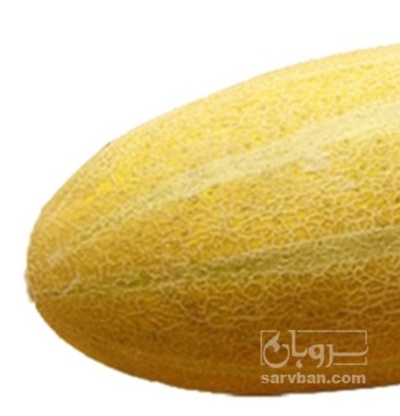 فروش خربزه